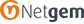 Netgem Logo